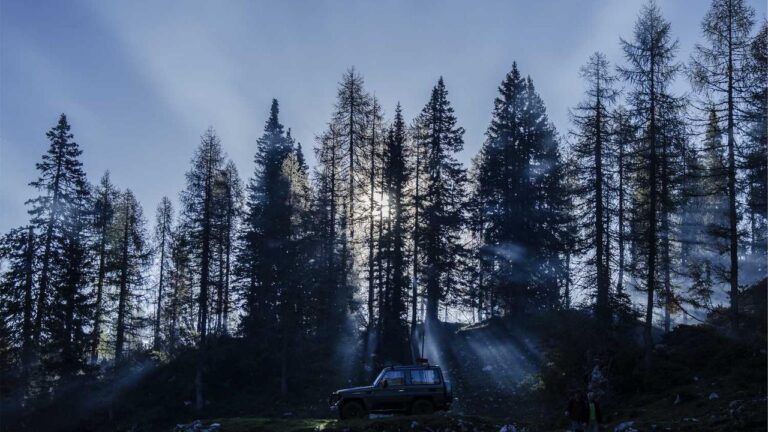 Is Cricbet99 Safe Or Not For Indian Players?